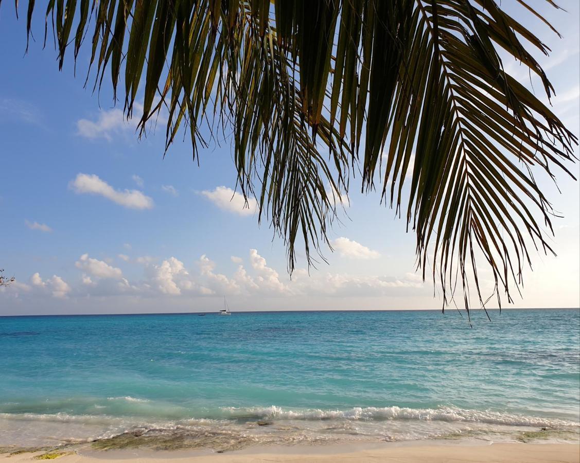 Island Luxury Boutique Hotel - Fulhadhoo Exterior photo